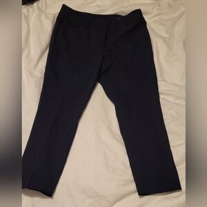Loft Marisa skinny pants 10p